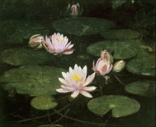 Картина "waterlilies" художника "тайер эббот хэндерсон"