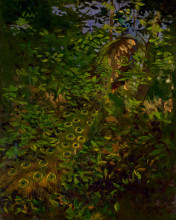Репродукция картины "peacock in the woods" художника "тайер эббот хэндерсон"