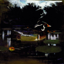 Репродукция картины "male wood duck in a forest pool" художника "тайер эббот хэндерсон"