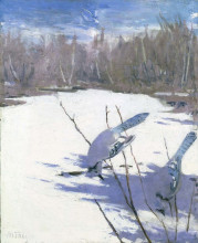 Копия картины "blue jays in winter" художника "тайер эббот хэндерсон"