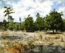 Копия картины "florida" художника "таннер генри оссава"