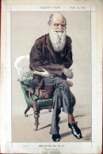 Картина "caricature of charles darwin from vanity fair magazine" художника "тиссо джеймс"
