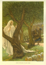 Копия картины "christ appearing to saint peter" художника "тиссо джеймс"