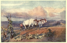 Картина "ploughing in tuscany" художника "томпсон элизабет"