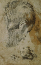 Копия картины "two studies of the head of a bearded man" художника "бассано якопо"