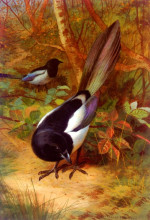 Копия картины "magpies" художника "торберн арчибальд"