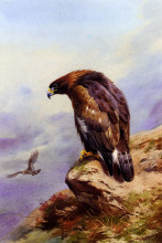 Картина "a golden eagle" художника "торберн арчибальд"