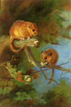 Копия картины "dormice" художника "торберн арчибальд"