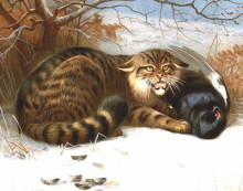 Репродукция картины "wildcat" художника "торберн арчибальд"