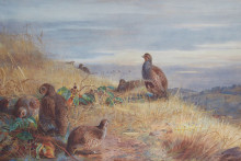 Копия картины "the covey at daybreak" художника "торберн арчибальд"