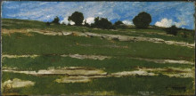 Копия картины "hillside with rocky outcrops" художника "труайон констан"