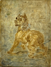 Репродукция картины "the dog (sketch of touc)" художника "тулуз-лотрек анри де"