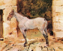 Репродукция картины "tethered horse" художника "тулуз-лотрек анри де"