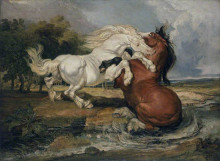 Репродукция картины "fighting horses" художника "уорд джеймс"