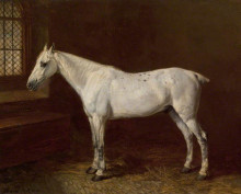 Копия картины "a grey in a stable" художника "уорд джеймс"