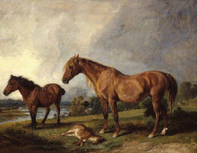 Картина "portraits of blackthorn, a broodmare, with old jack, a favourite pony, the property of e. mundy, esq." художника "уорд джеймс"