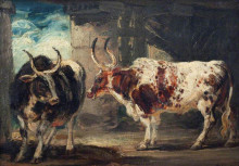 Репродукция картины "two extraordinary oxen, the property of the earl of powis" художника "уорд джеймс"