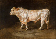 Копия картины "study of a prize bull" художника "уорд джеймс"