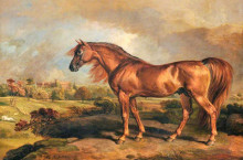 Копия картины "a chestnut stallion in the grounds of powis castle" художника "уорд джеймс"