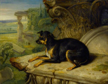 Картина "&#39;fanny&#39;, a favourite dog" художника "уорд джеймс"