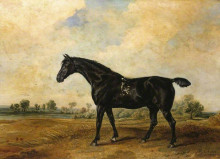 Картина "the black horse" художника "уорд джеймс"
