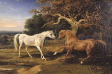 Репродукция картины "l&#39;amour de cheval" художника "уорд джеймс"