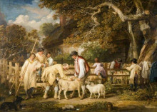 Копия картины "sheep salving" художника "уорд джеймс"
