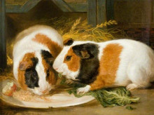 Копия картины "double portrait of henrietta ward&#39;s pet guinea pig" художника "уорд джеймс"