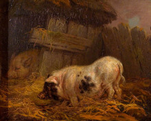 Репродукция картины "a chinese sow" художника "уорд джеймс"