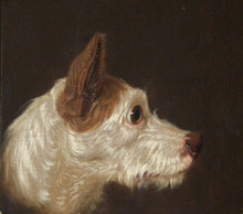 Копия картины "dog&#39;s head" художника "уорд джеймс"