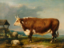 Репродукция картины "hereford bull with sheep by a haystack" художника "уорд джеймс"