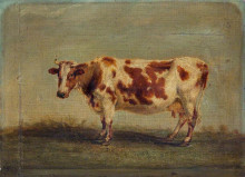 Копия картины "roan shorthorn cow" художника "уорд джеймс"