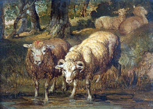 Репродукция картины "sheep by a stream" художника "уорд джеймс"