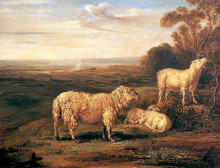 Репродукция картины "sheep on the downs" художника "уорд джеймс"