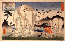 Репродукция картины "thaishun with elephants" художника "утагава куниёси"