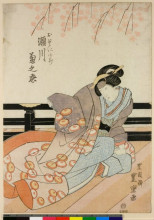 Картина "the kabuki actor segawa kikunojo v as okuni gozen" художника "утагава тоёкуни ii"