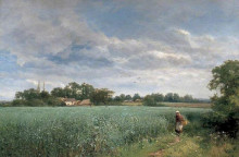 Картина "a bean field at pickersleigh, near malvern, worcestershire" художника "бейтс дэвид"