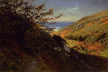 Копия картины "currarie glen, near ballantrae, south ayrshire" художника "фаркухарсон джозеф"