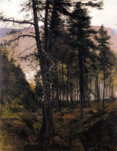 Картина "fir trees in the glen" художника "фаркухарсон джозеф"