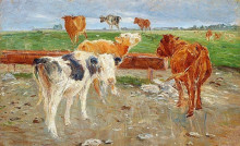 Репродукция картины "cows near the well at gammelgaard, saltholm" художника "филипсен теодор"