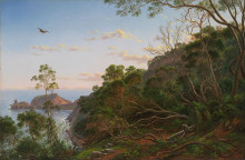 Копия картины "tea trees near cape schanck, victoria" художника "фон герард ойген"