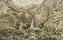 Картина "fall of the first creek, near glen osmond, south australia" художника "фон герард ойген"