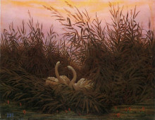 Копия картины "лебеди в камышах на первый рассвет" художника "фридрих каспар давид"