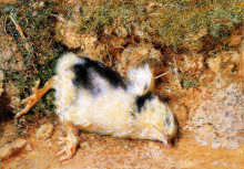 Копия картины "john ruskin&#39;s dead chick" художника "хант уильям холман"