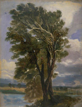 Копия картины "study of trees" художника "харви джордж"