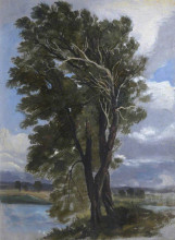 Копия картины "trees in a wind" художника "харви джордж"