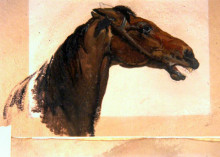 Копия картины "horse&#39;s head" художника "харви джордж"