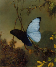 Копия картины "blue morpho butterfly" художника "хед мартин джонсон"