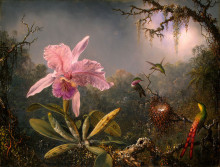 Картина "cattleya orchid and three hummingbirds" художника "хед мартин джонсон"