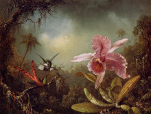 Картина "orchid with two hummingbirds" художника "хед мартин джонсон"